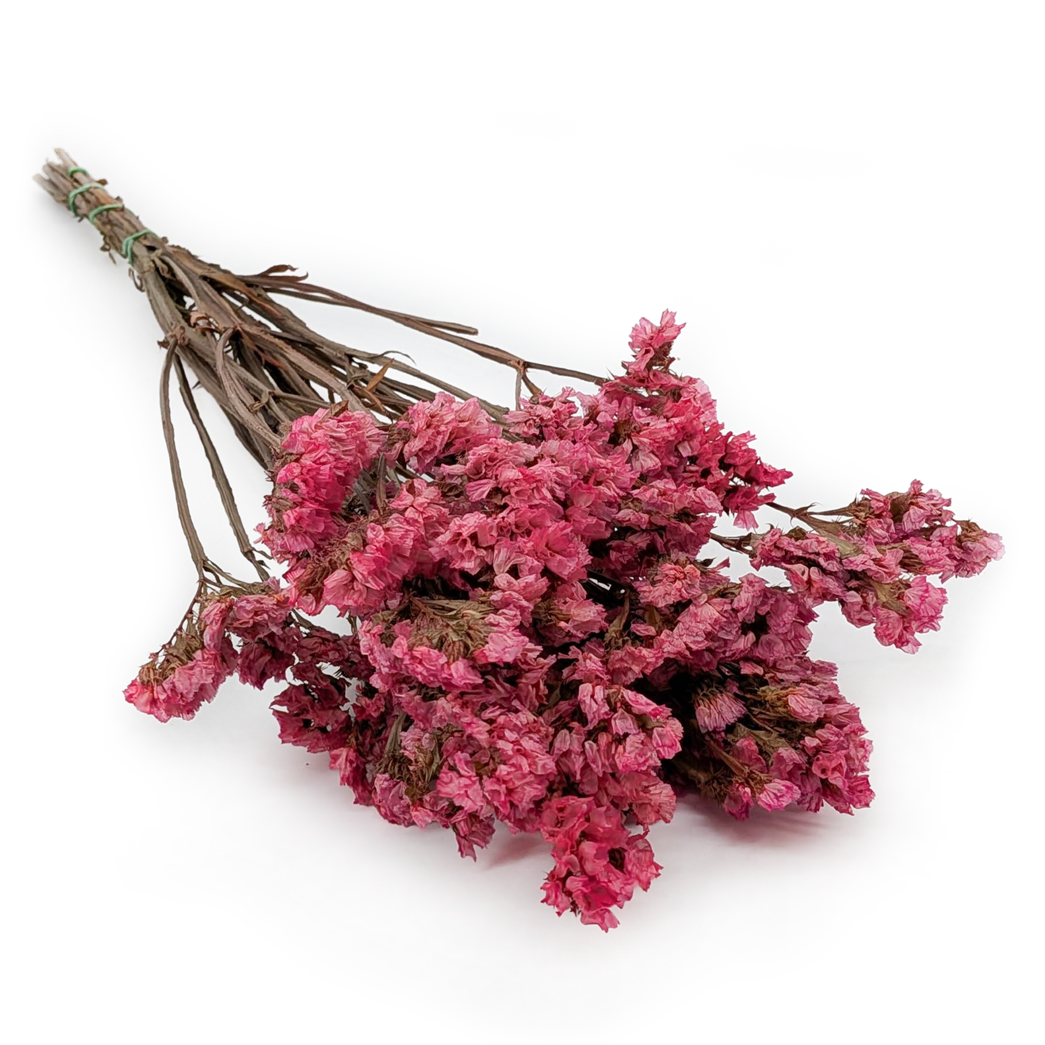 Stabilizowany Zatrwian Wrębny  - Limonium sinuatum - Różowy