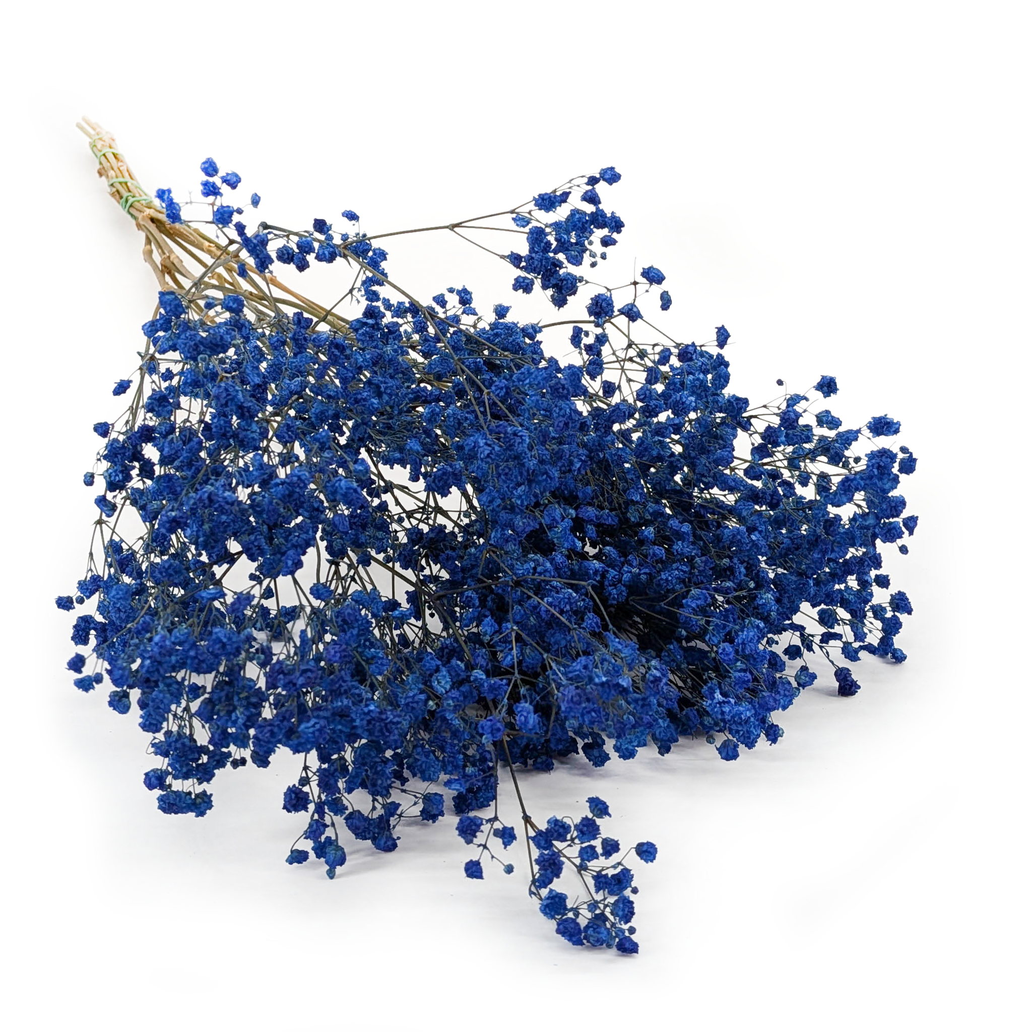 Gipsówka Stabilizowana - (gypsophila) - Pastelowy Niebieski