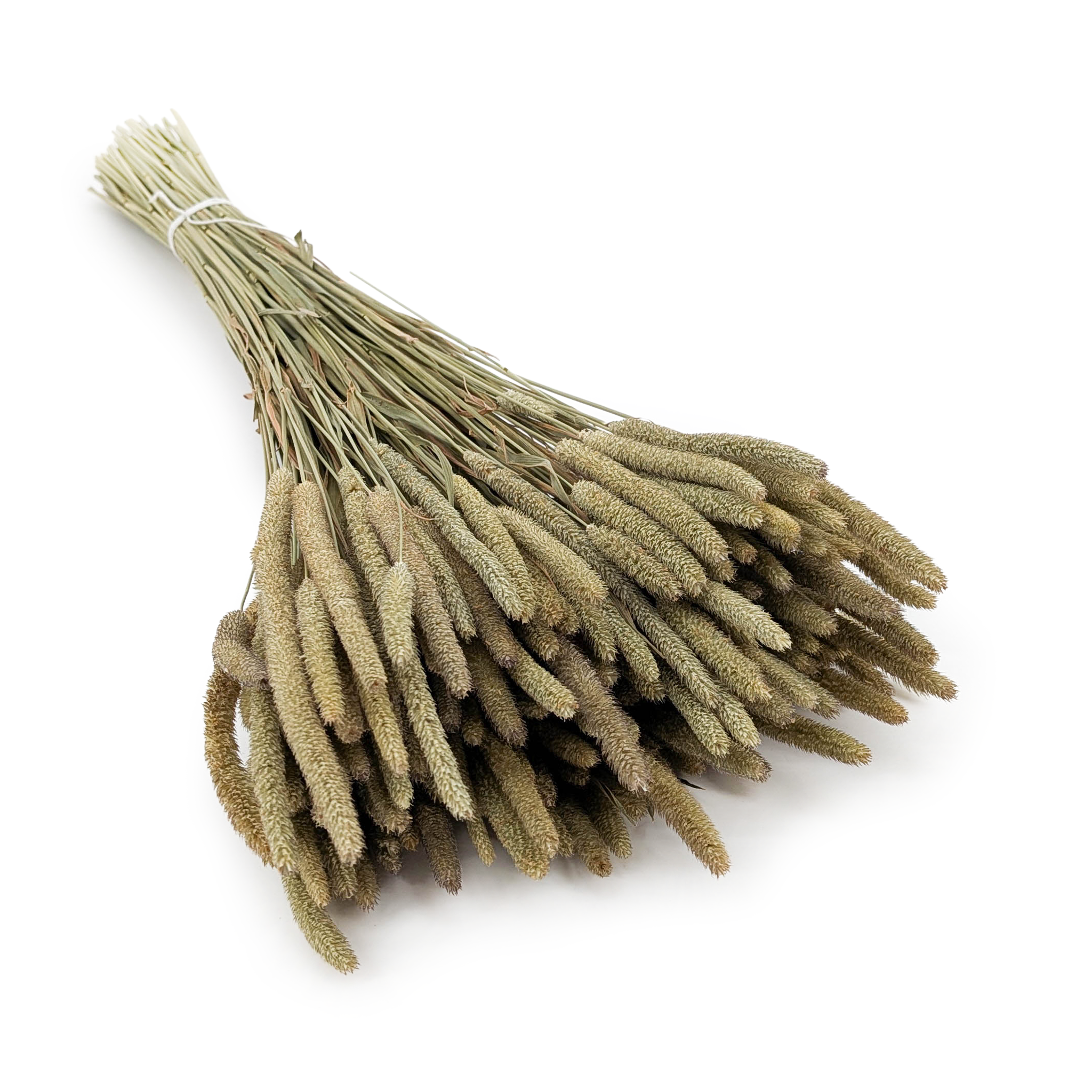 Suszona Tymotka - Naturalna