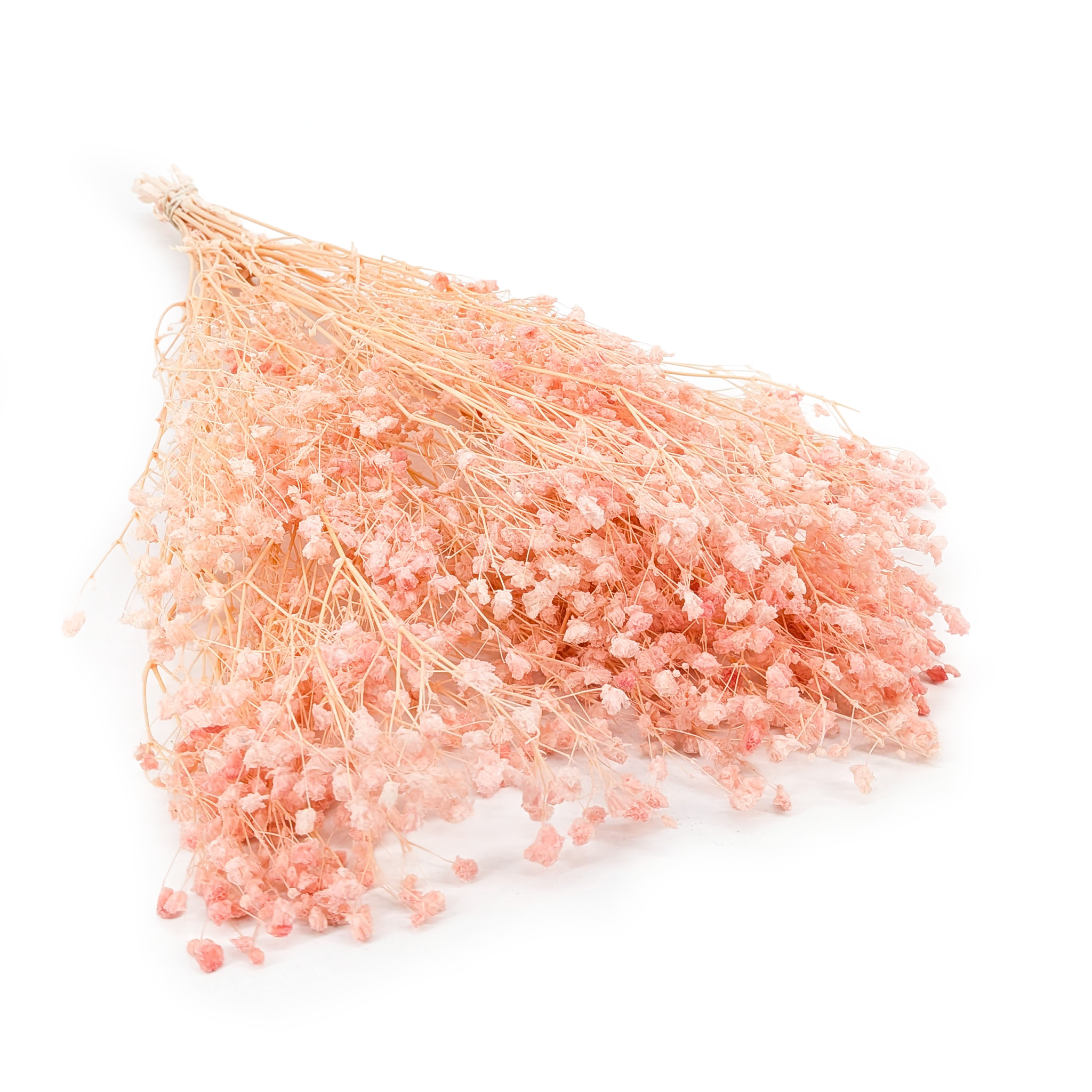 Gipsówka Stabilizowana - (Gypsophila) - Pudrowy Róż