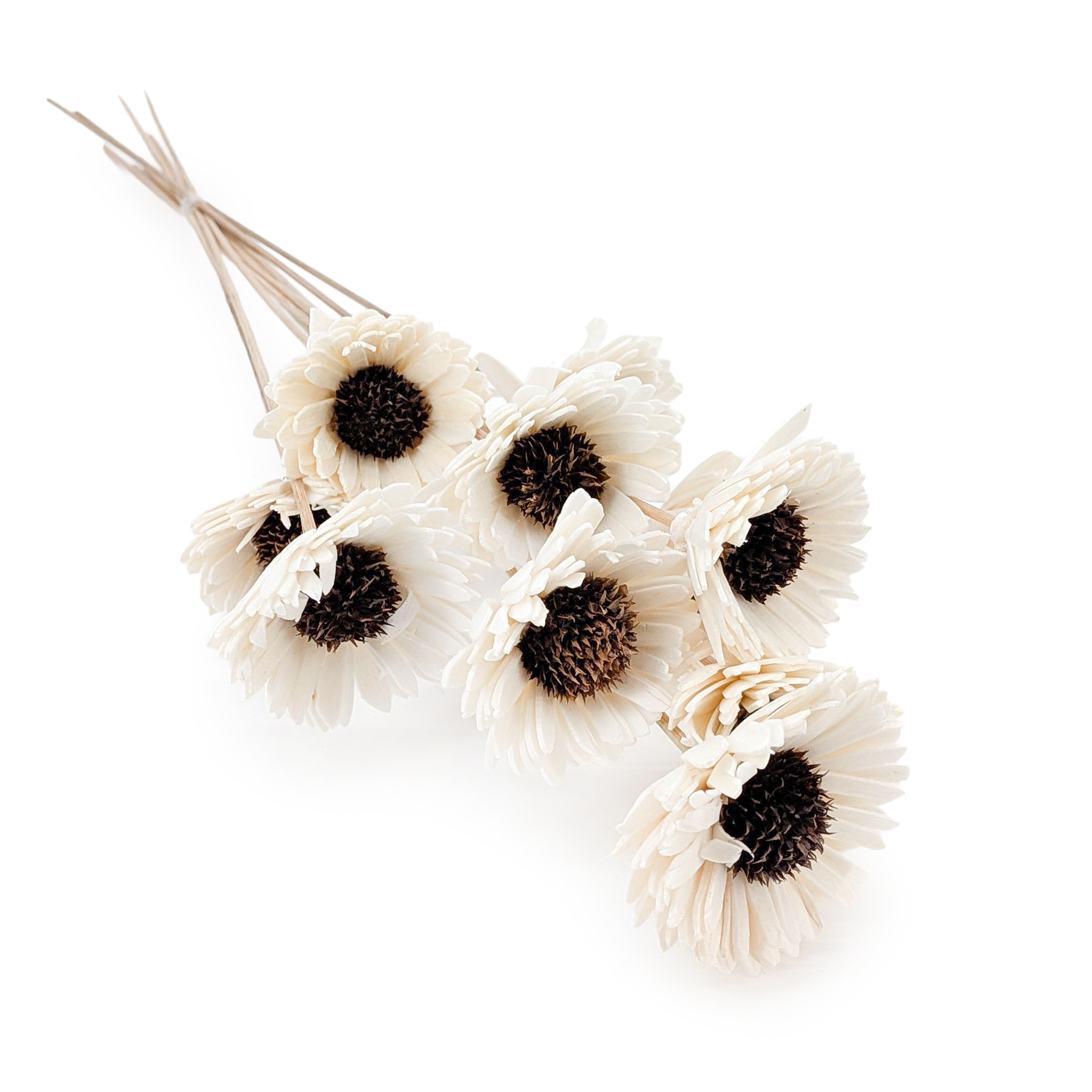 Kwiat Shola - (Sola Sunflower) - na łodydze - 10szt