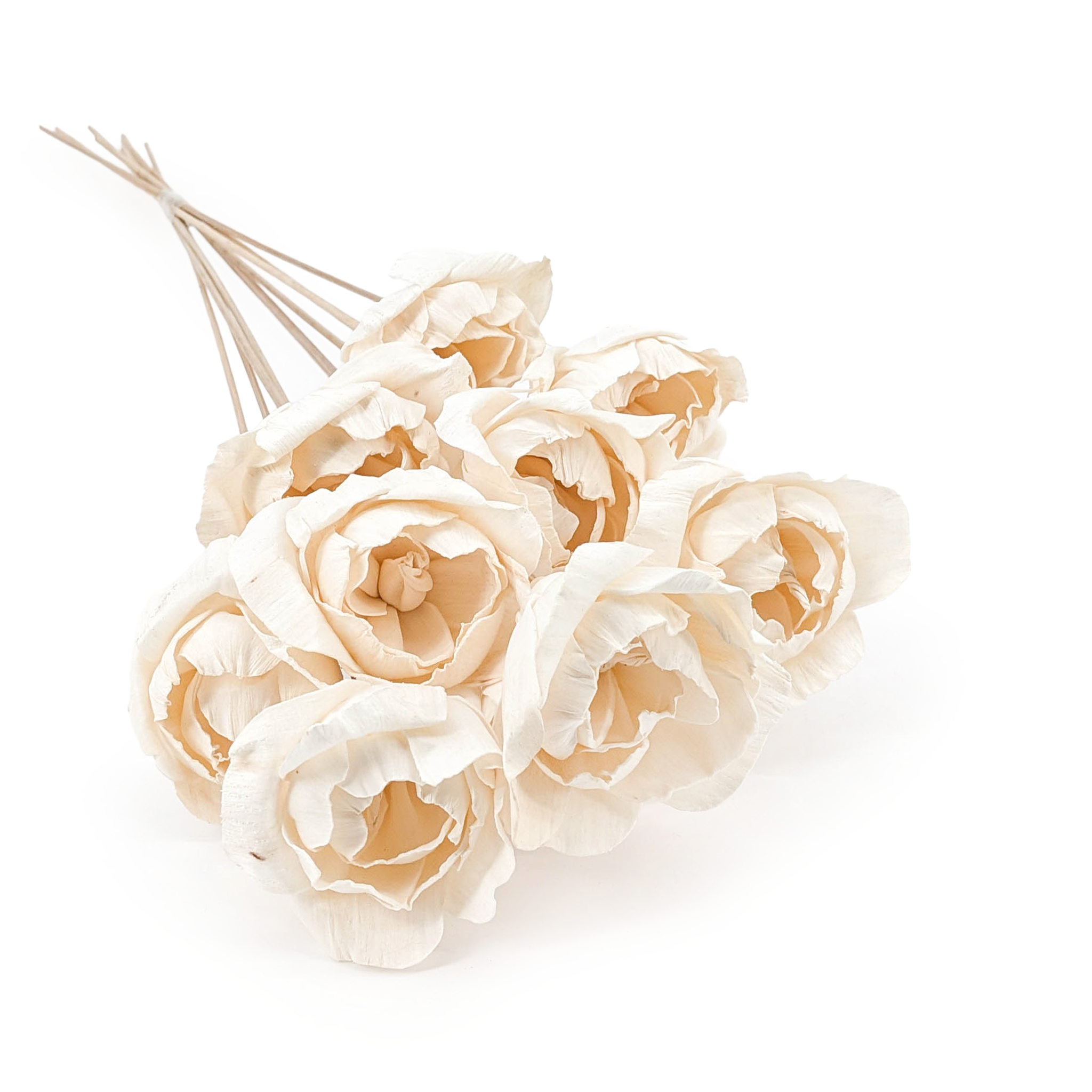 Kwiat Shola - (Sola Peony) - na łodydze - 10szt