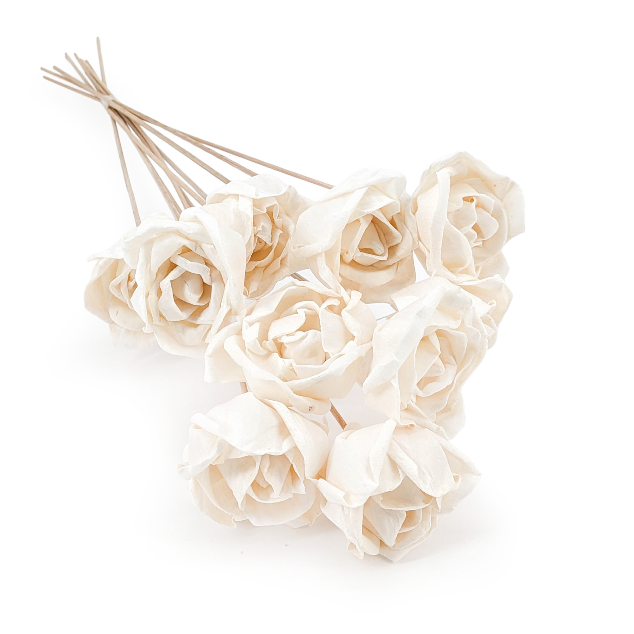 Kwiat Shola - (Sola Rose Special) - na łodydze - 10szt