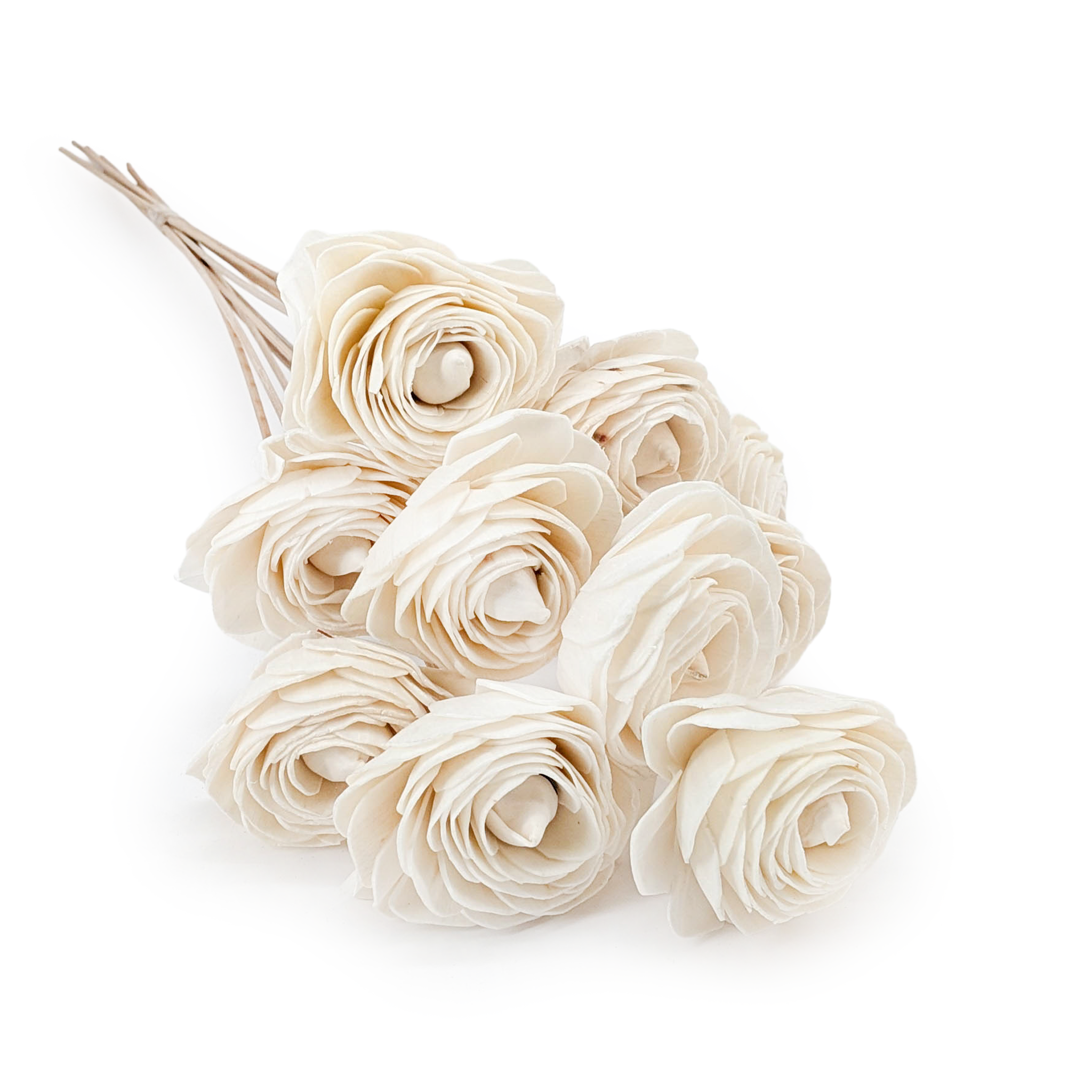 Kwiat Shola - (Sola Beauty Rose) - na łodydze - 10szt
