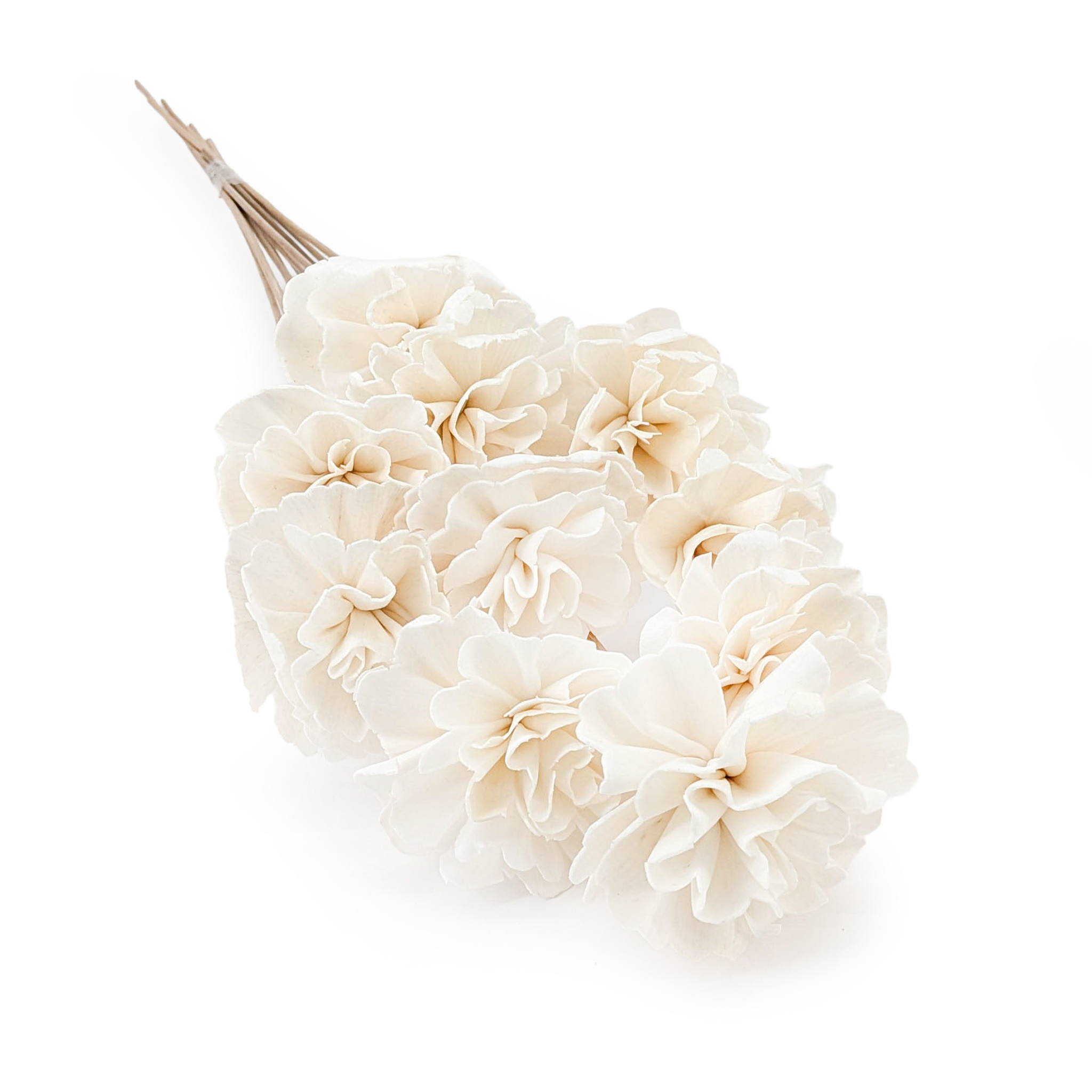 Kwiat Shola - (Sola Carnation) - na łodydze - 10szt