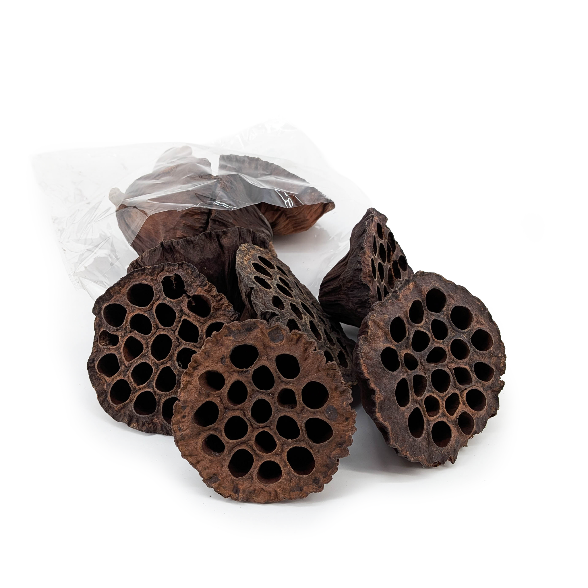 Lotos duży XL - 10cm - Naturalny - susz egzotyczny - 10szt 