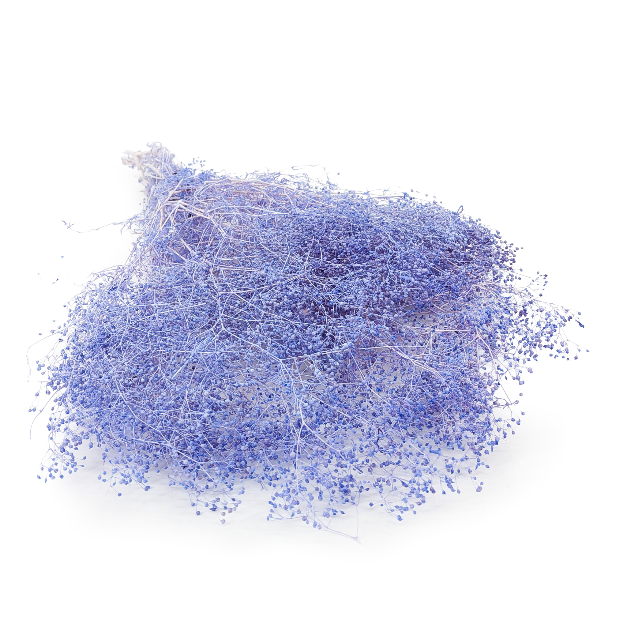 Gipsówka Stabilizowana MINI - (gypsophila) - Lila