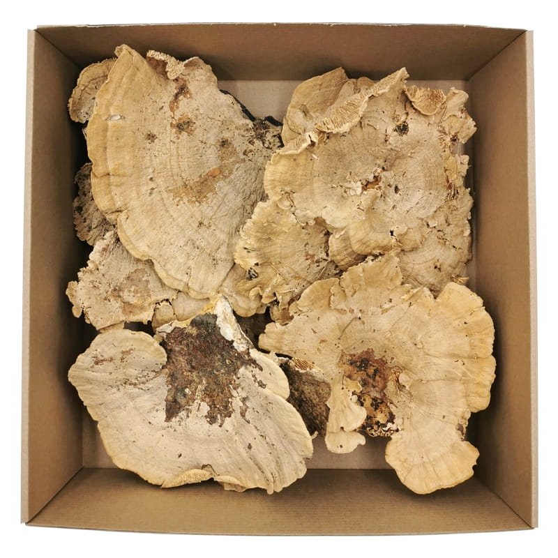 Huba suszona - NATURALNA 200g