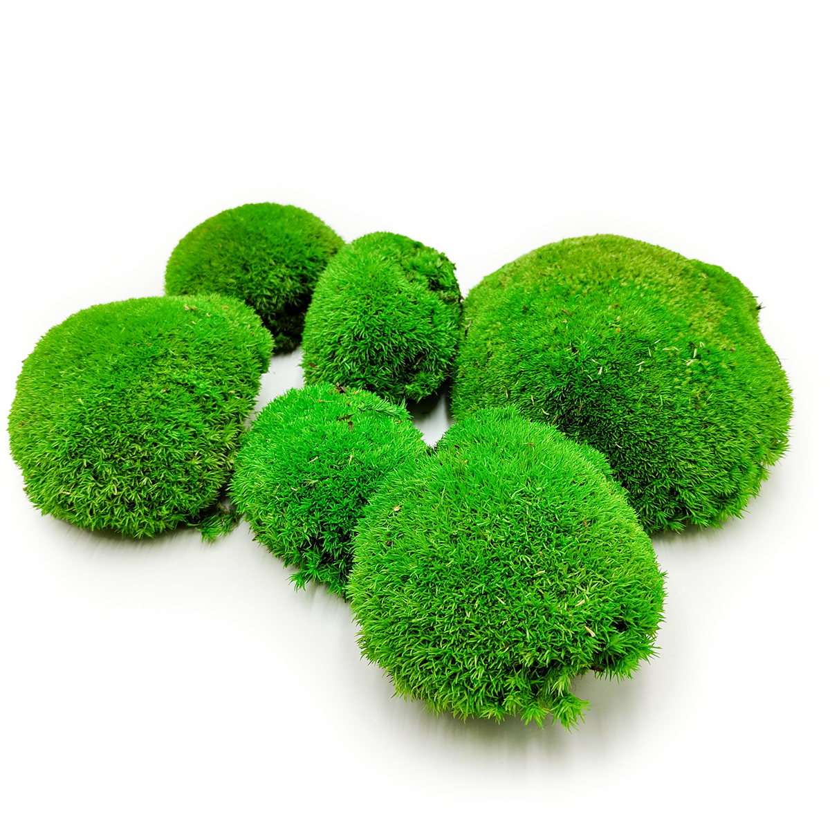 Mech Poduszkowy – Średniozielony Naturalny – 0,5m² (100x50cm) – Szwecja