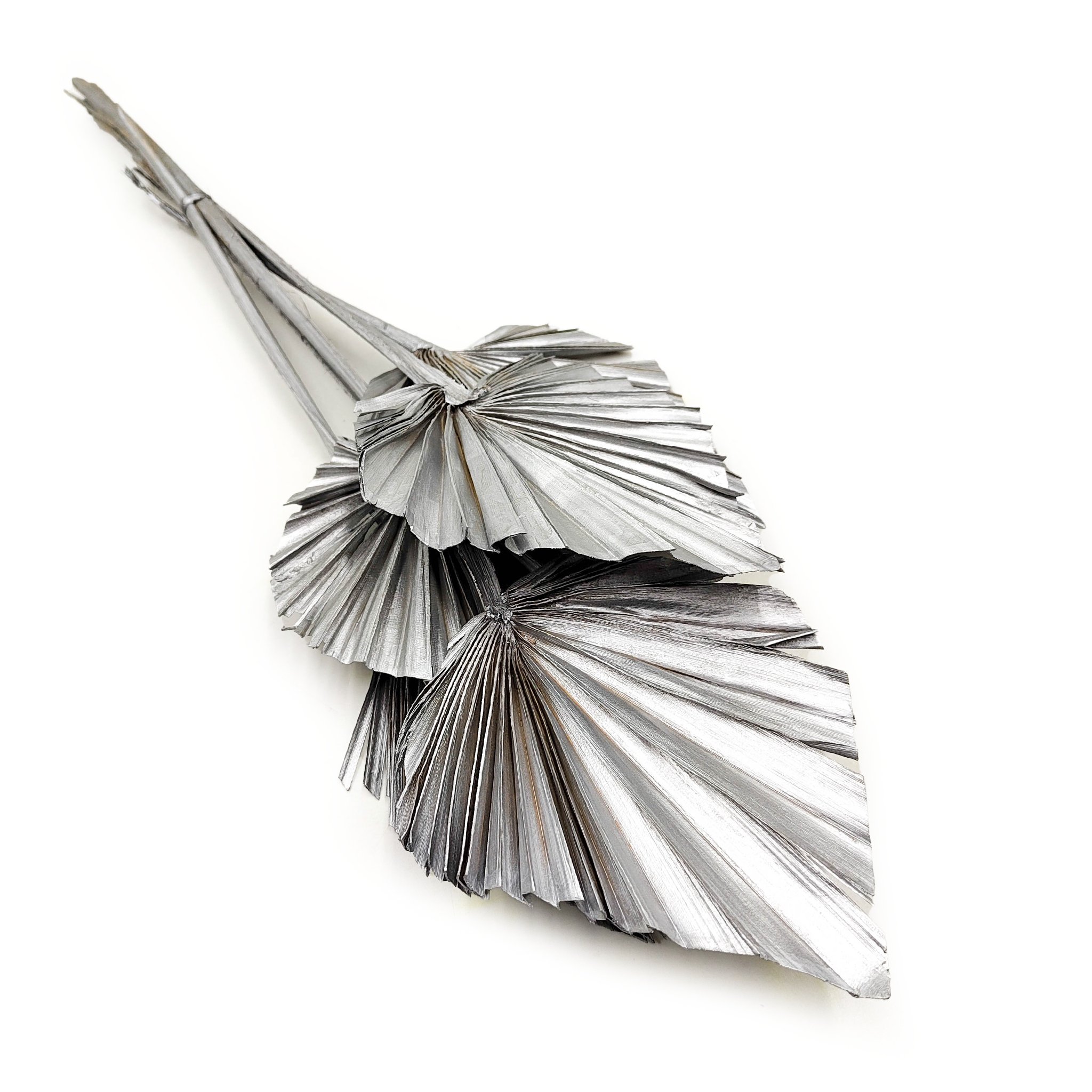 Palma cięta, wachlarz, strzałka (Palm spear) - Srebrny