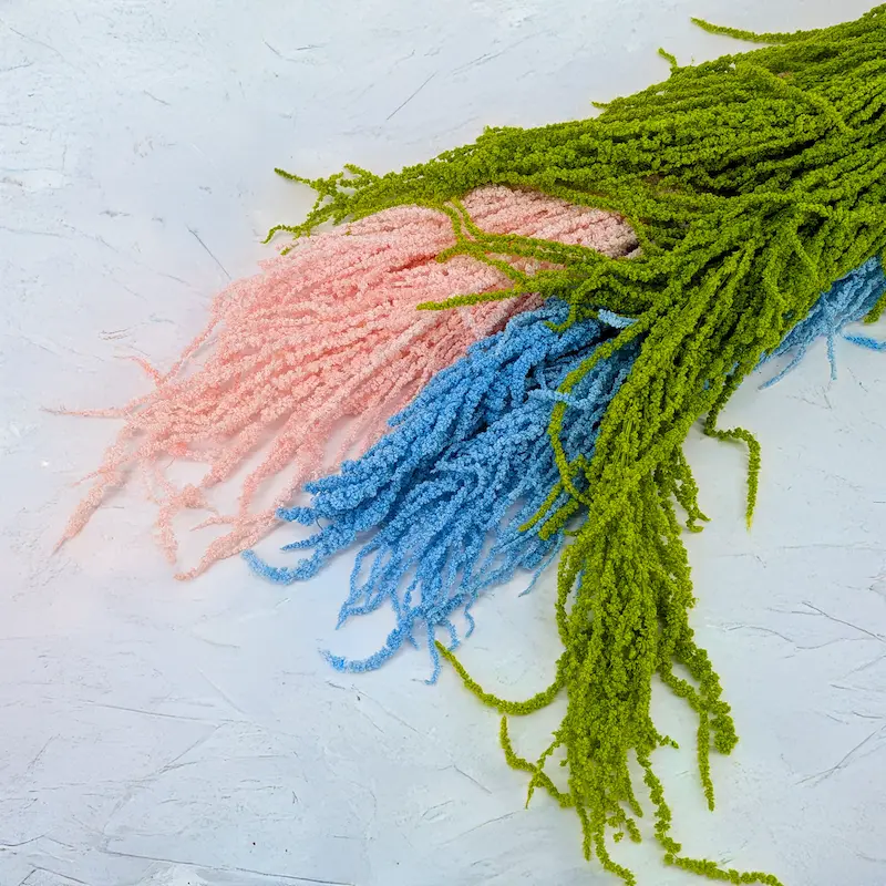 Szarłat stabilizowany z linii Royal – imponująca długość i efekt kaskady