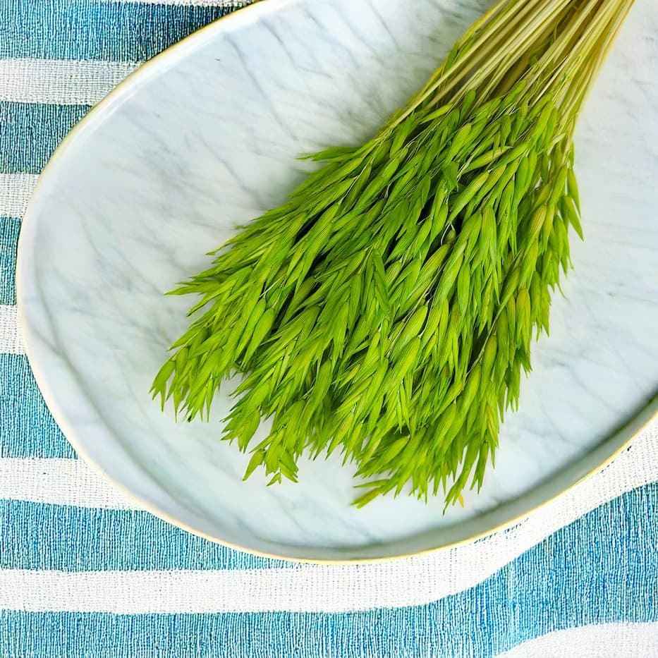 Owies Suszony Barwiony – Naturalna Elegancja w Twoim Wnętrzu