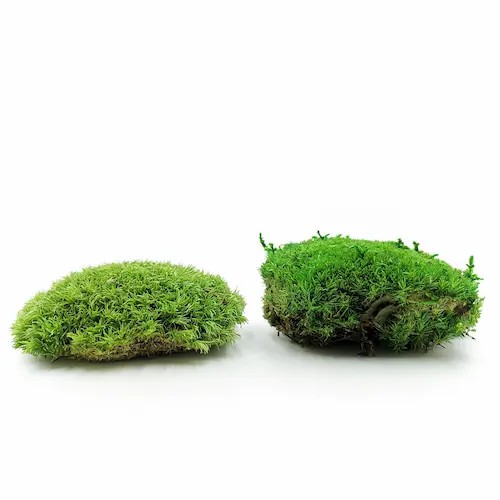 Mech poduszkowy – różnice między francuskim a szwedzkim. Który wybrać?