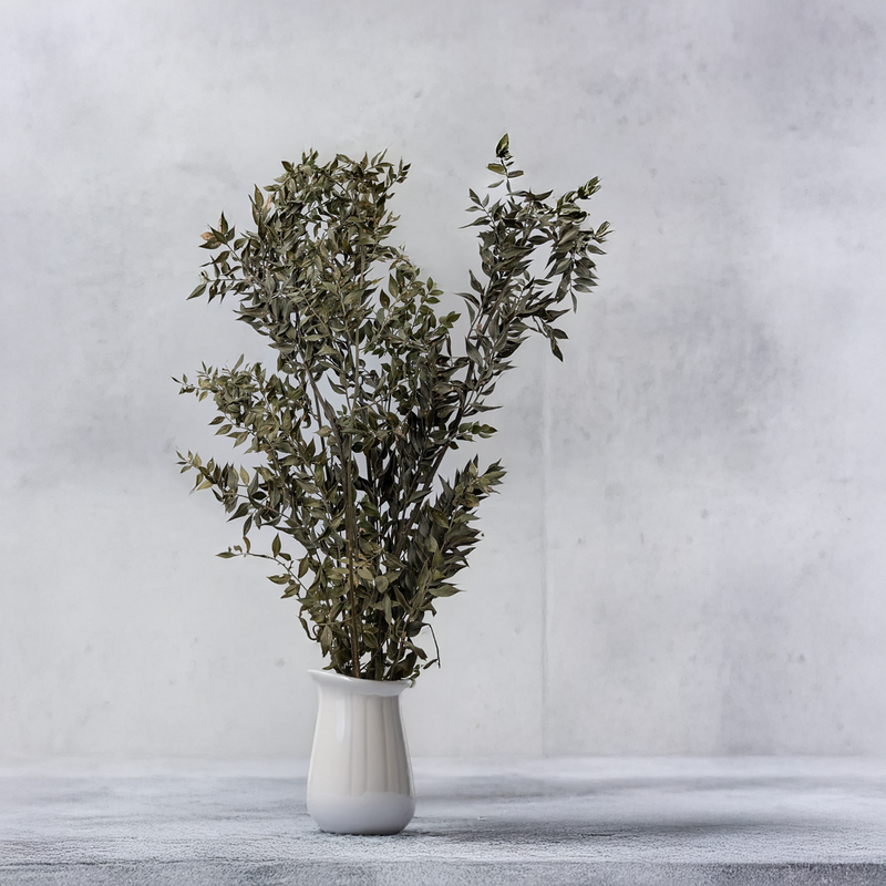 Rośliny stabilizowane – kilka kroków by w pełni cieszyć się ich pięknem!